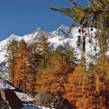 Fee-rien 1- Og * Saas-Fee